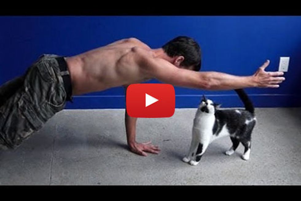 Exercise With Cats Around