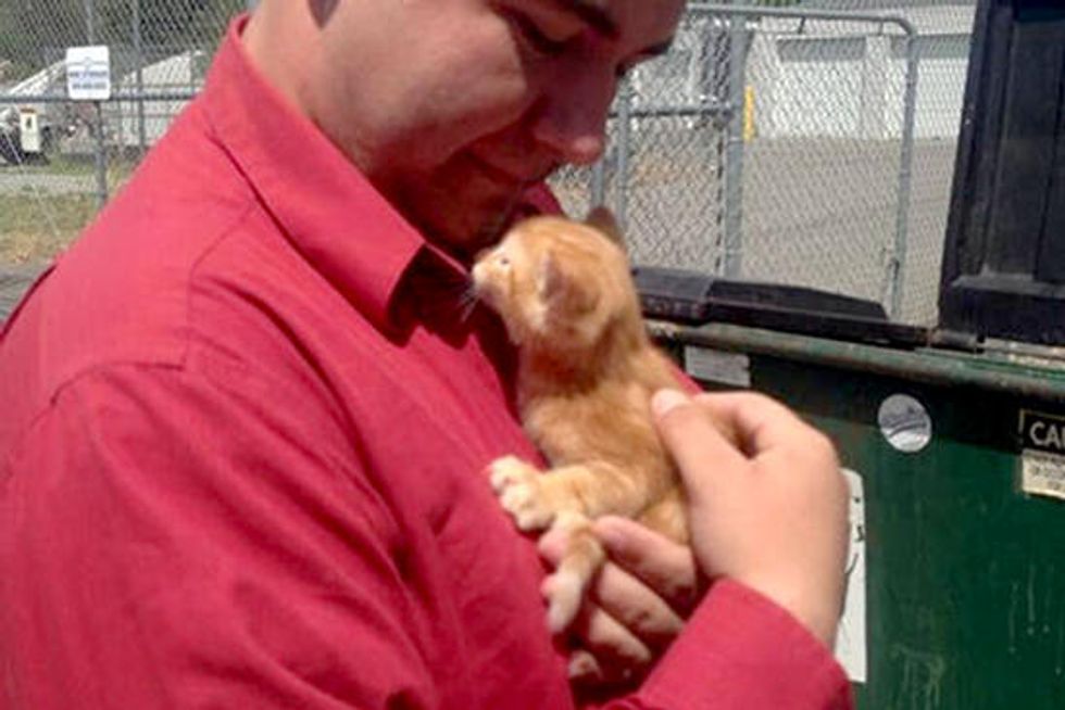 Good Samaritan Saves Kitten From Inside Dumpster & Nurses Her Back To Health