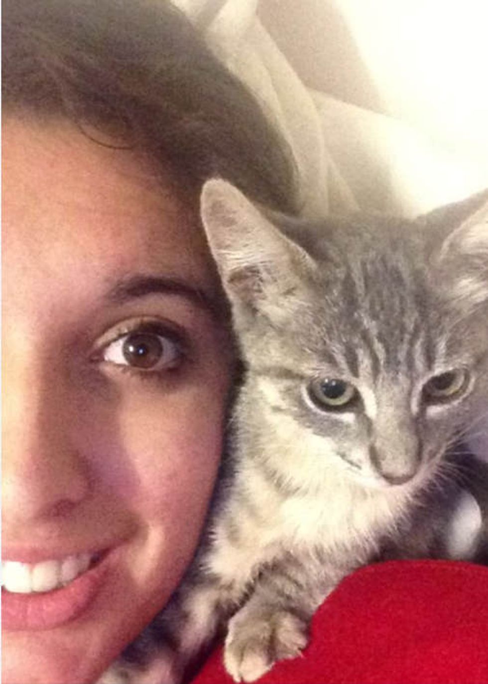 Feral Cat Found Trust & Love Love Meow