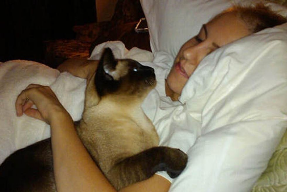 Stevie The Cat Cuddles Her Human After Chemo Treatment