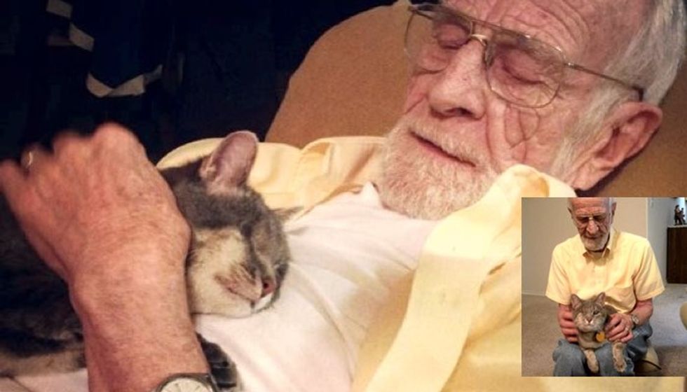One Eyed Cat Adopted by Grandpa Who Can Only See Through One Eye