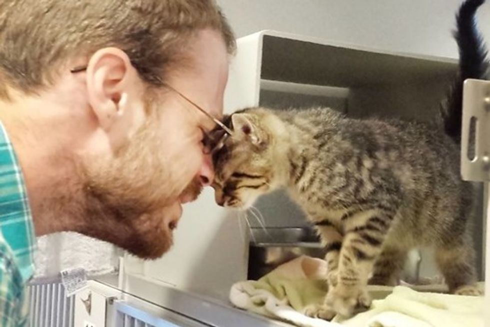 Shelter Cat Picks His New Dad
