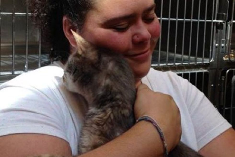 Stolen Cat Reunited With Human Mom After 10 Years