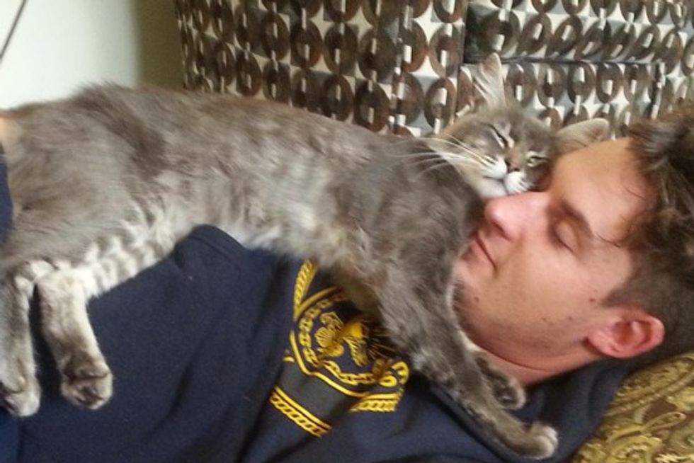 Rescue Cat & Military Man Happy To Be Home