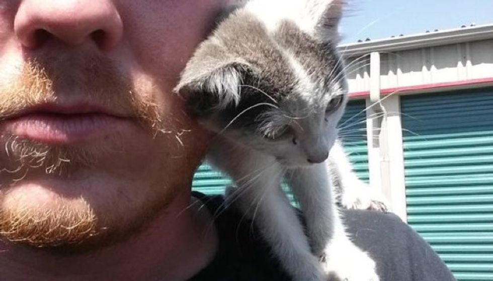 Man Saves Orphaned Kitten From Construction Site