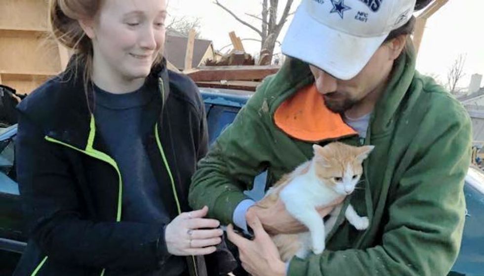 Family Never Gave Up Looking for Their Cats After Tornado Destroyed Their Home