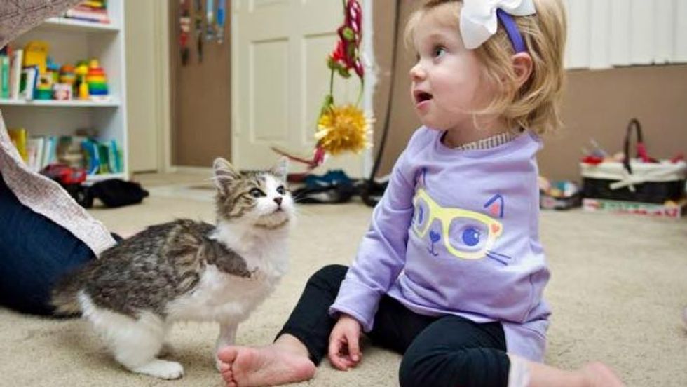 3-legged Kitten Adopted by 2-year-old Amputee Share a Special Connection