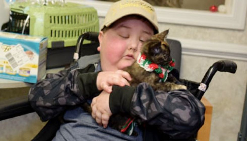 Shelter Kitten Made Terminally-ill Child's Dream Come True. Now They are Inseparable!