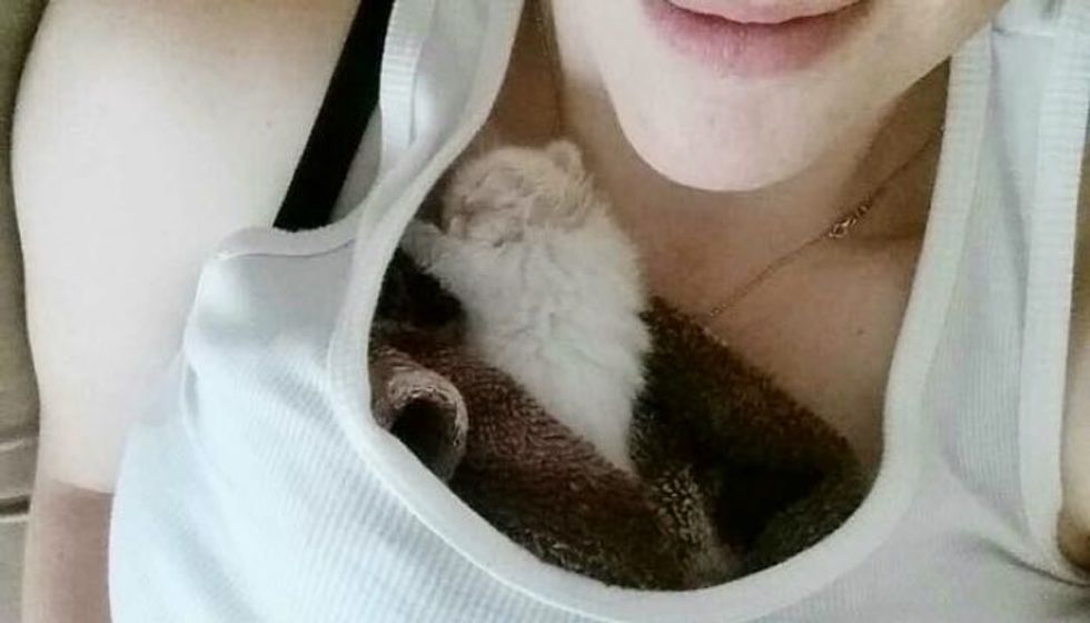 Tiny Kitten Abandoned at Grocery Store Finds Woman He Loves and Won't Let Go, Now Months Later.