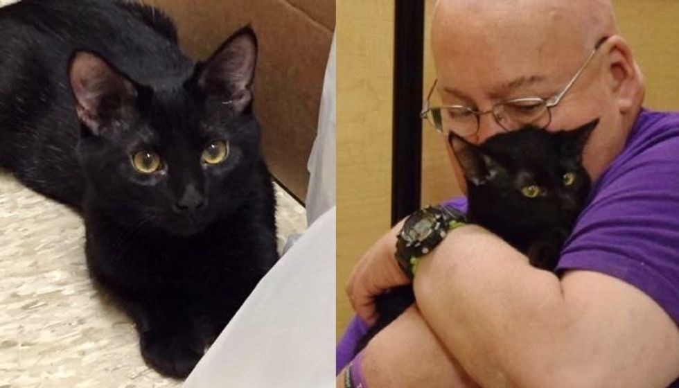 Rescue Cat Saved Man's Life Days After He Got Him Out of Shelter