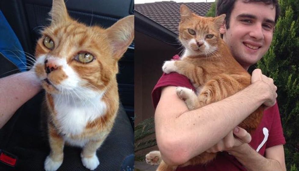 Shelter Cat Jumped on Boy's Lap for Love, 11 Years Later, They are Still Together!