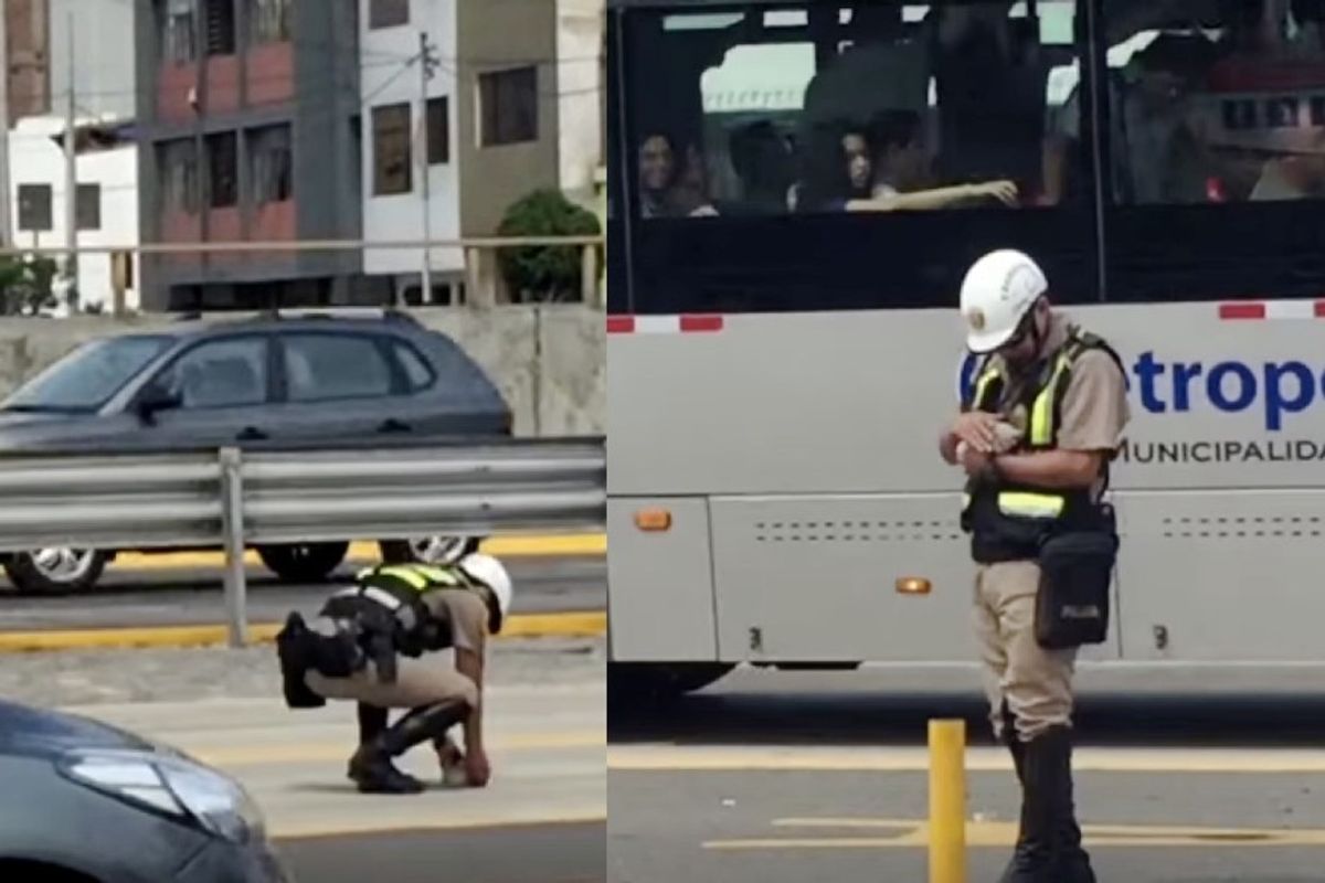traffic police rescues kitten before run over by bus