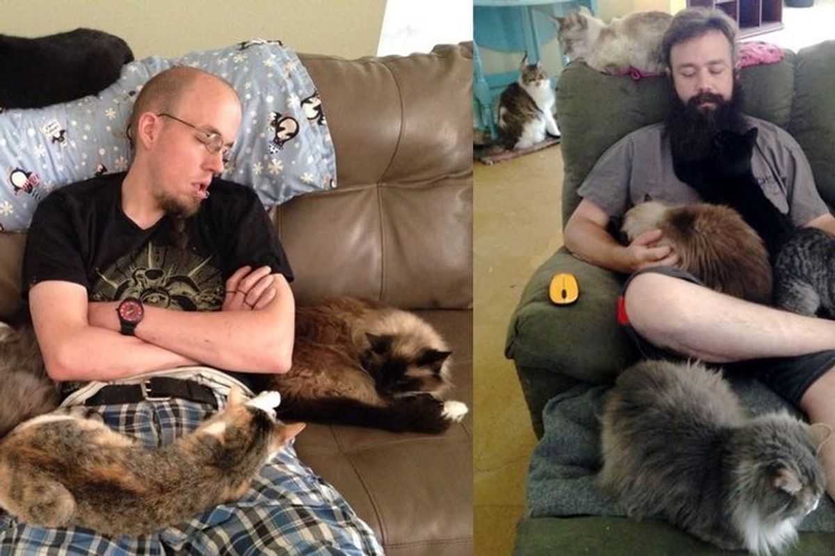 These Guys Show Us How to Properly Volunteer at a Cat Sanctuary.
