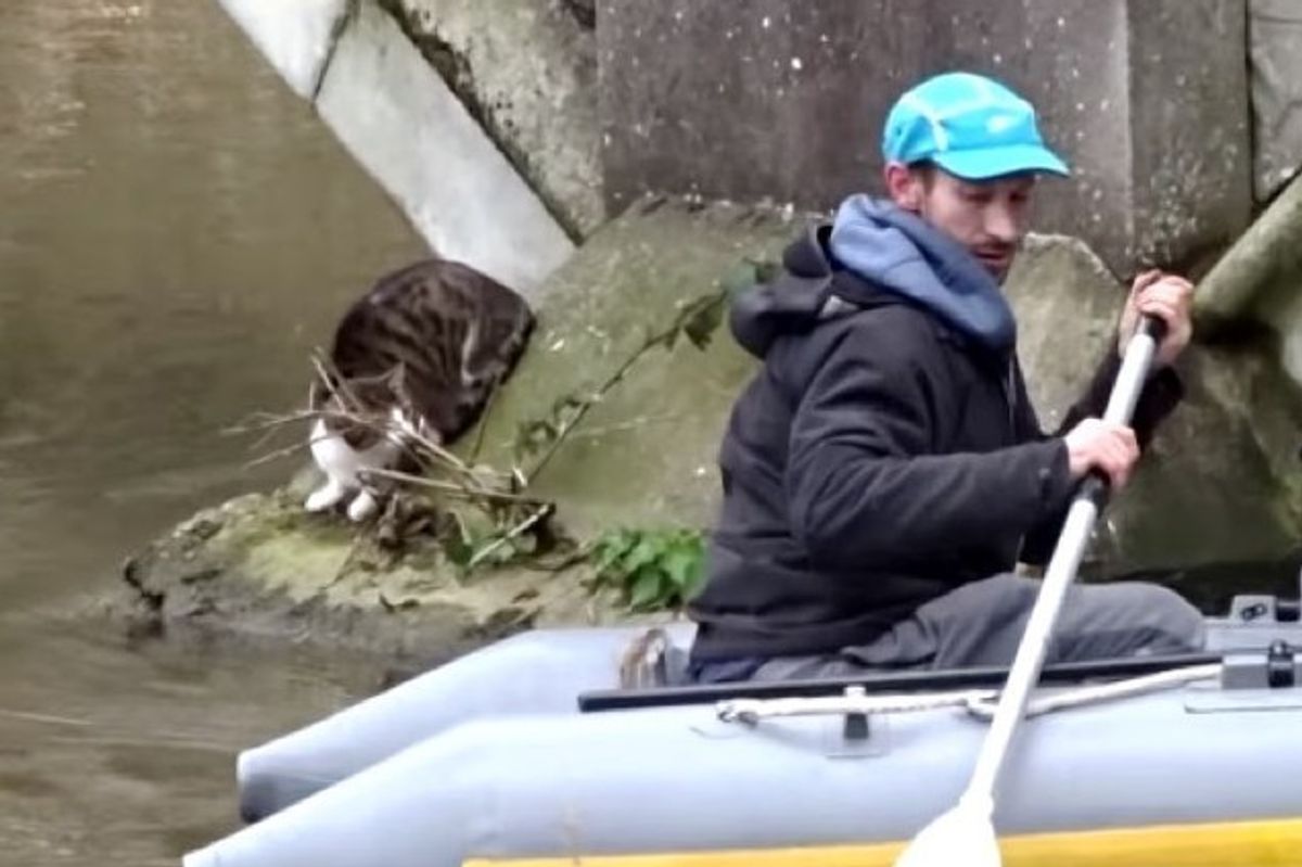 men rescued cat stranded under bridge in a boat
