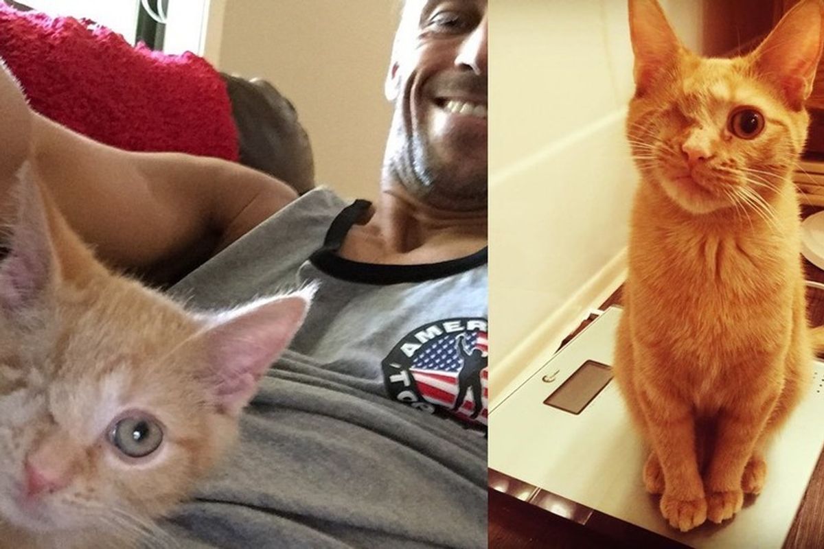Cat Lost an Eye But Changed a Man's Life Forever!