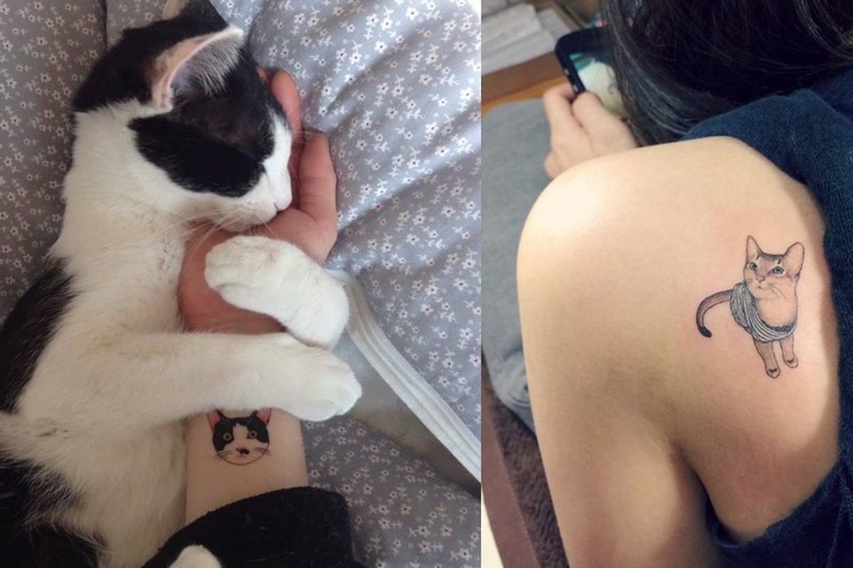 Underground Tattoo Artists Show Their Love for Cats Through Tats