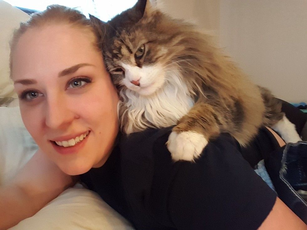 Woman Spent 7 Months To Bring Love Back Into Cat That Others Thought Wasnt Capable Of Love 0408