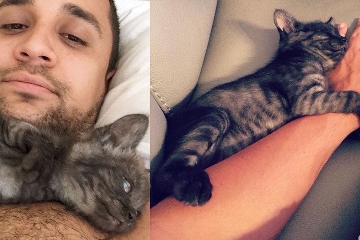 3-legged Warrior Kitten Finds Love in Vet Student and Can't Stop the Cuddles