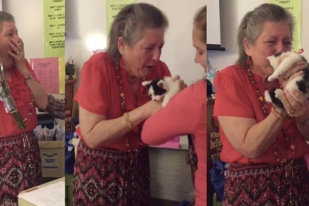 Teacher Gets a Heartwarming Surprise After Her Cat Passed Away