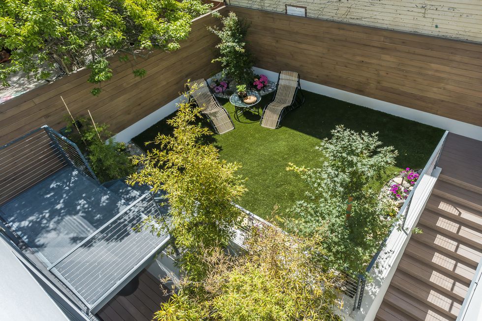 Property Porn 5.25M Renovated Victorian + Killer Rooftop Patio 7x7