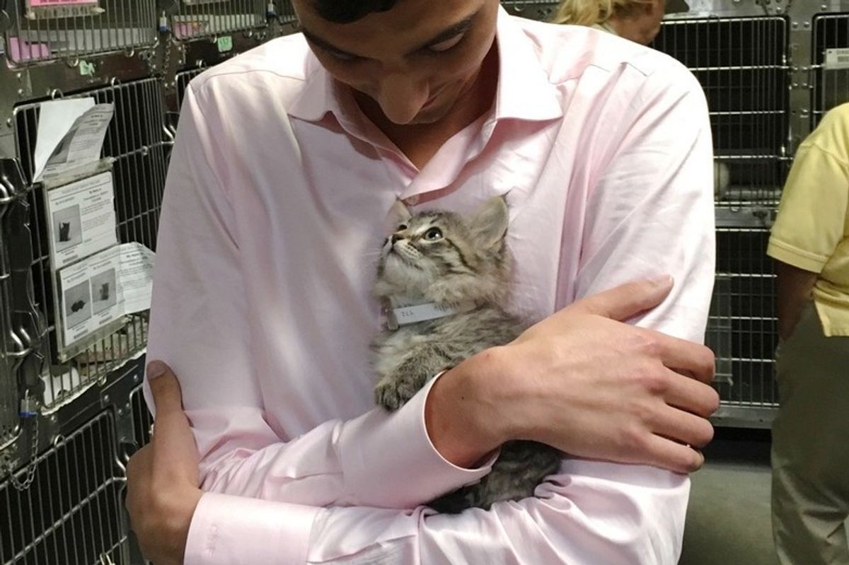 Shelter Kitten Chooses Man to Be Her Forever Human