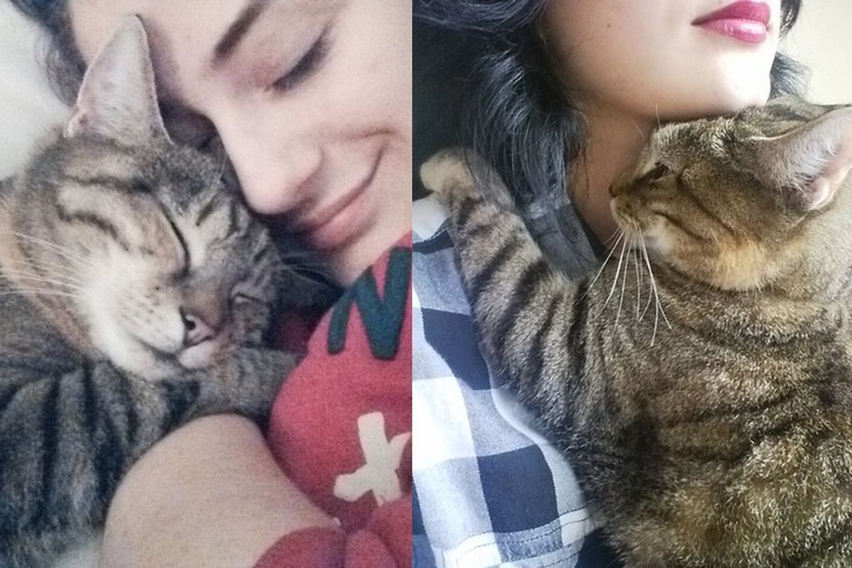 Cat Loves Her Human So Much She Hugs and Watches Over Her Every Step of the Way