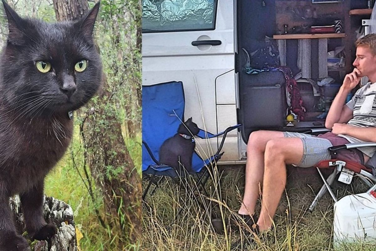 Man Left His Job and House to Travel With His Cat Who Rescued Him