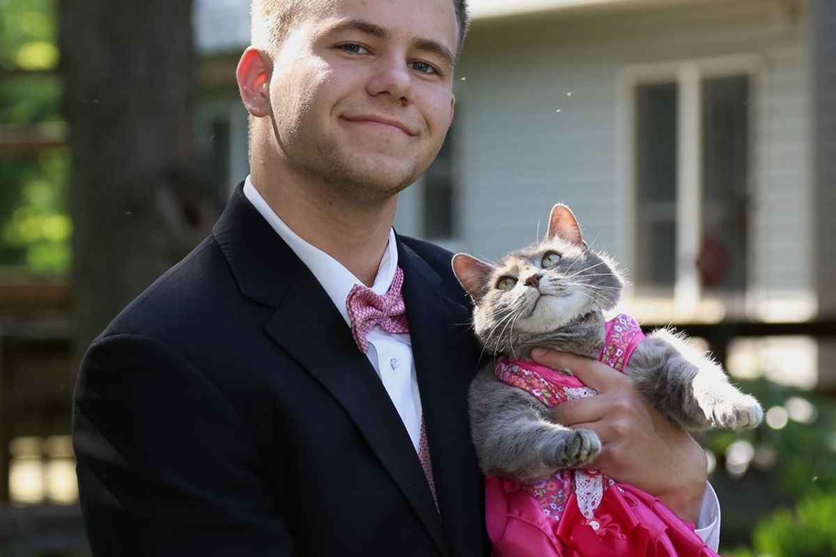 This Guy Couldn't Find a Date to School Prom, So He Took His Cat