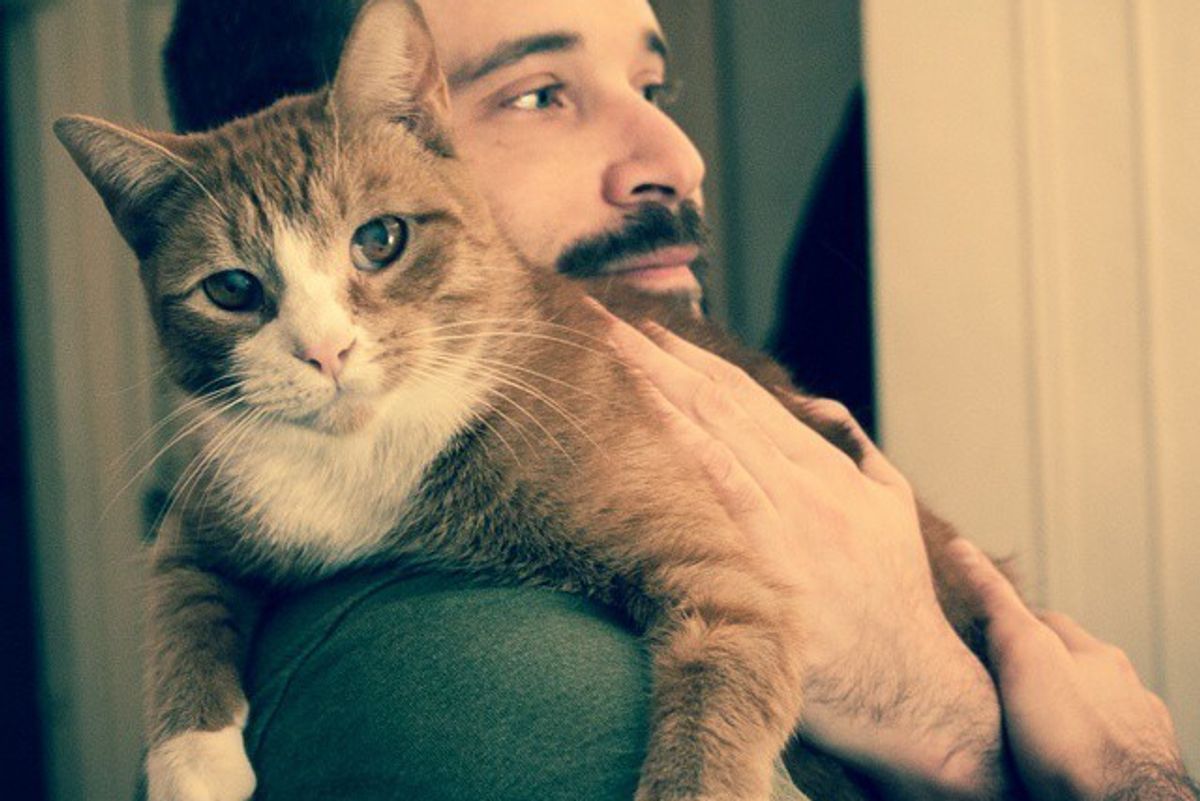 Man Took Cat Out of the Shelter and the Cat Hasn't Stopped Cuddling Him Since