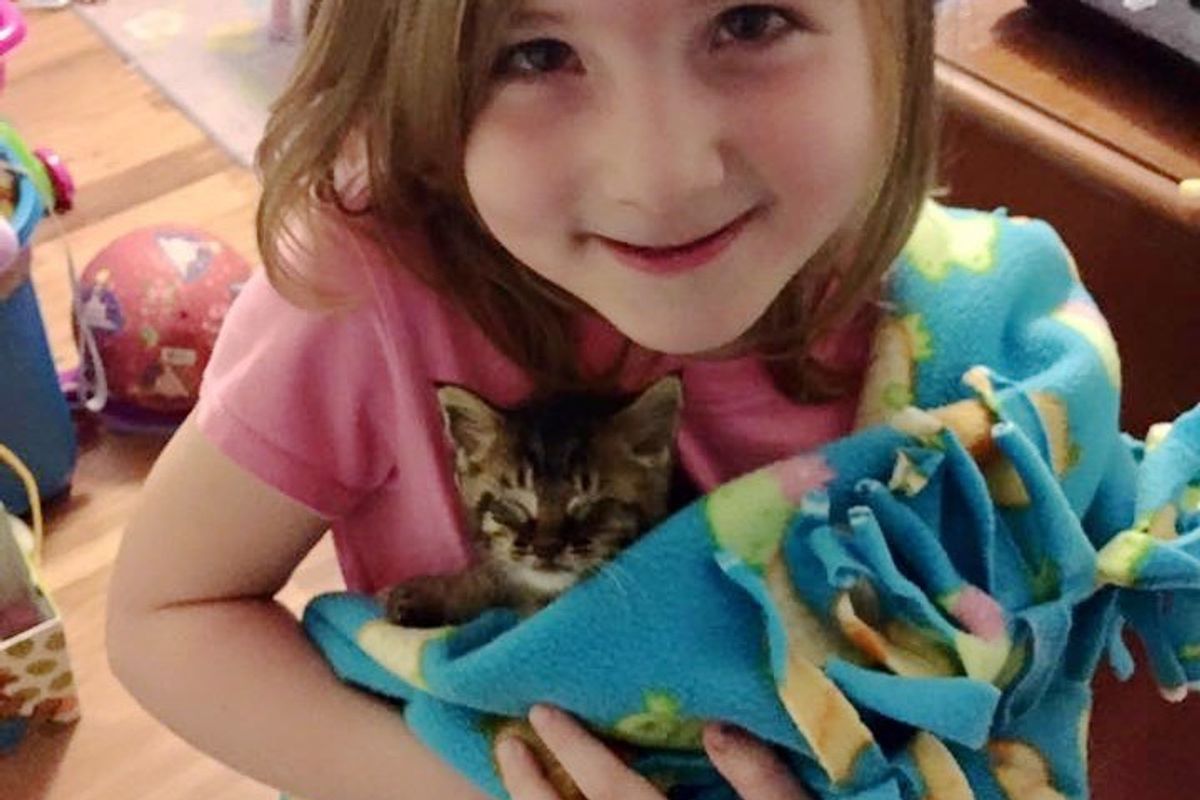 5-year-old Girl Helps Save Kitten, They Can't Stop Cuddling