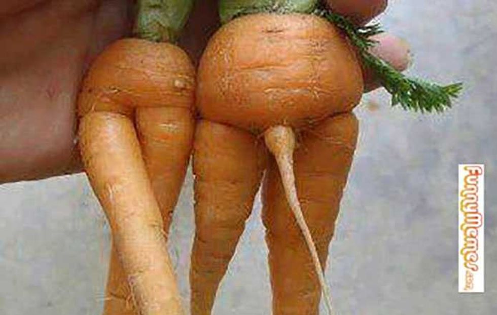 My Whole Life Has Been a Lie: Baby Carrots Exposed