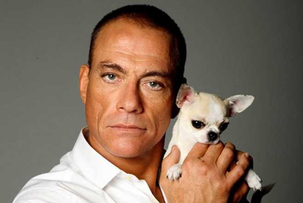 Jean-Claude Van Damme Wants To Show The World He’s Still Got It