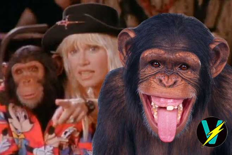 Suzanne Somers—Bubbles The Chimp Tried To Cop A Feel During Liberian Girl Video!