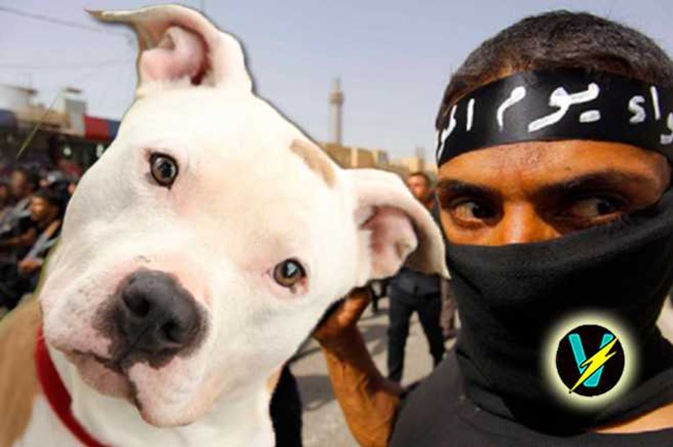 Man Rapes His Neighbor's Pit Bull, Claims ISIS Made Him Do It