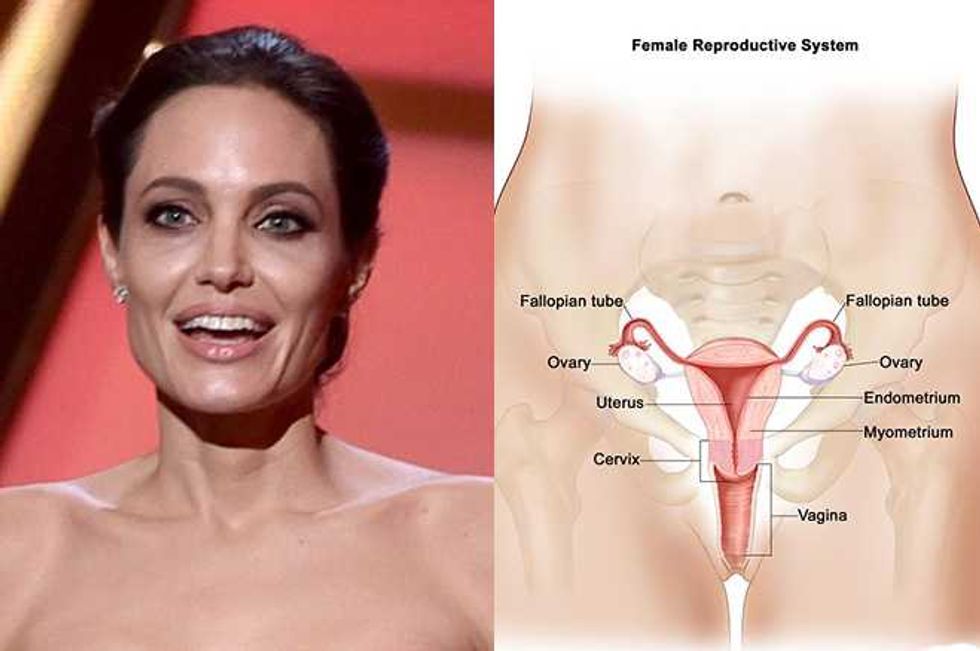 I Love Being In Menopause, Says Pathological Liar Angelina Jolie