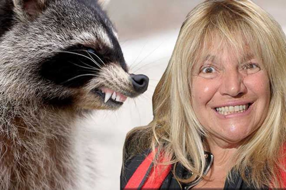 Porn Star Bitten By Raccoon—Porn Star Not Raccoon Treated For Rabies