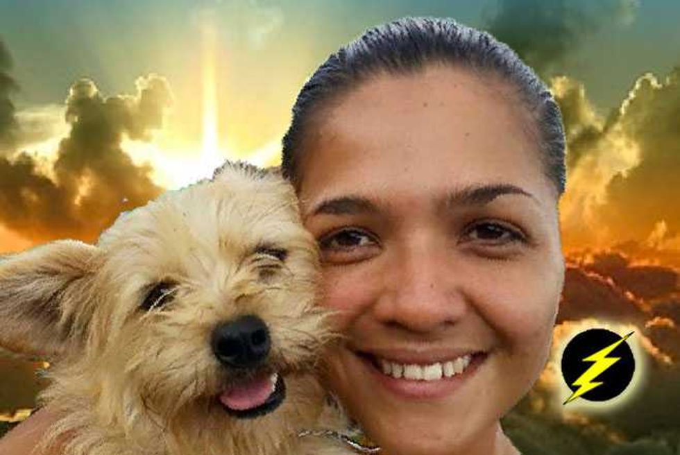Costa Rica Stray Dog Shelter Is Heaven On Earth For Canines