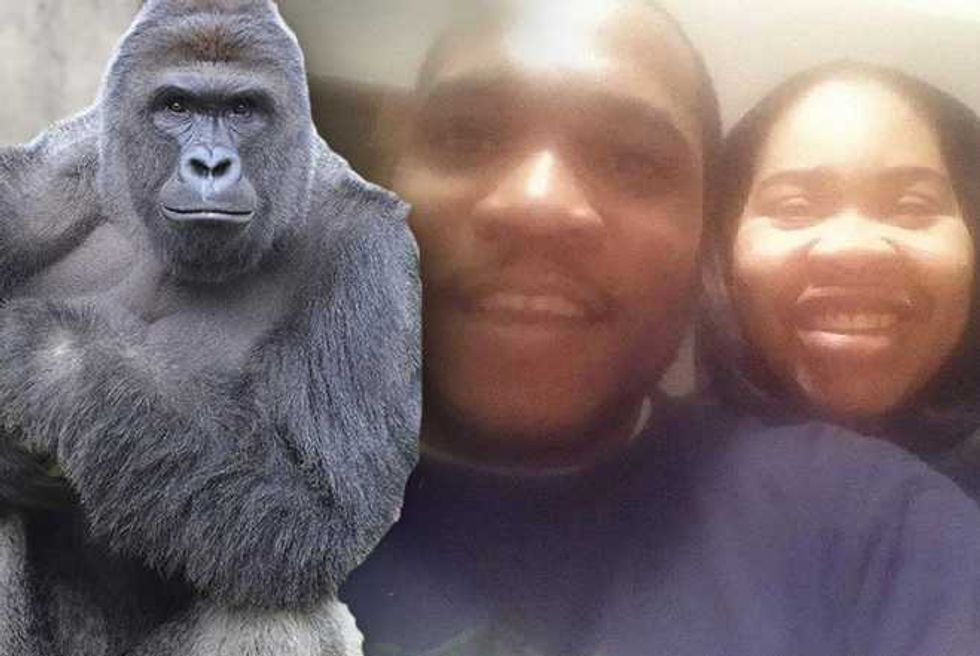 Cincinnati Zoo Gorilla Shooting—Cops Investigating Boy’s Parents