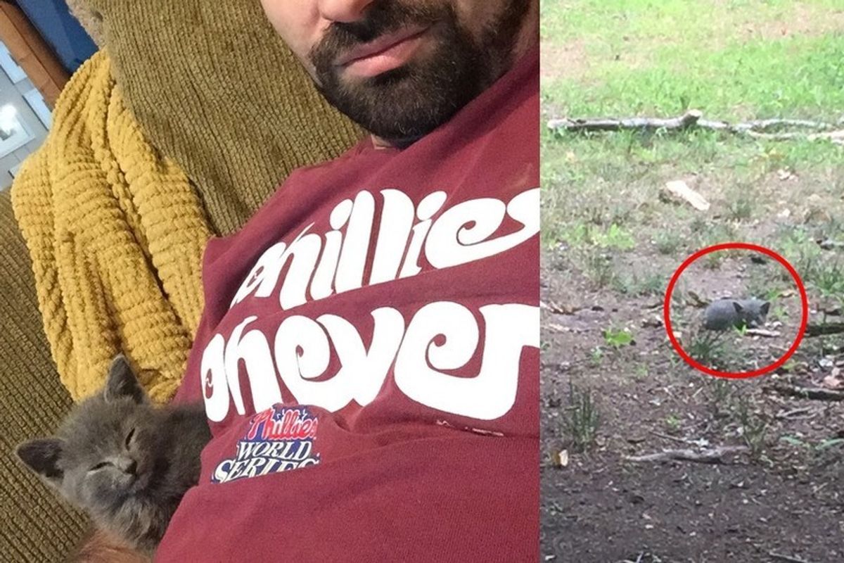 Kitten Clings to Her Rescuer After He Saved Her from the Woods