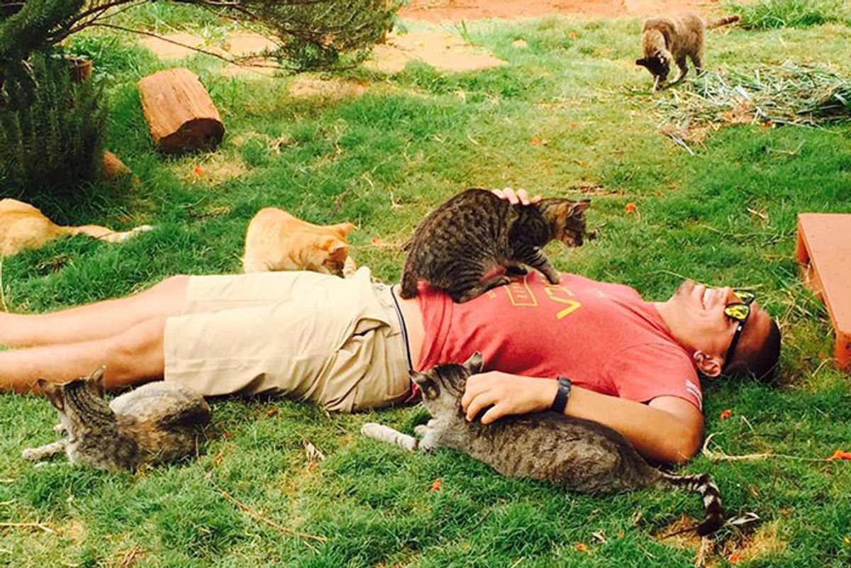 People Come from Around the World to Cuddle 500 Rescue Cats at Kitty Sanctuary