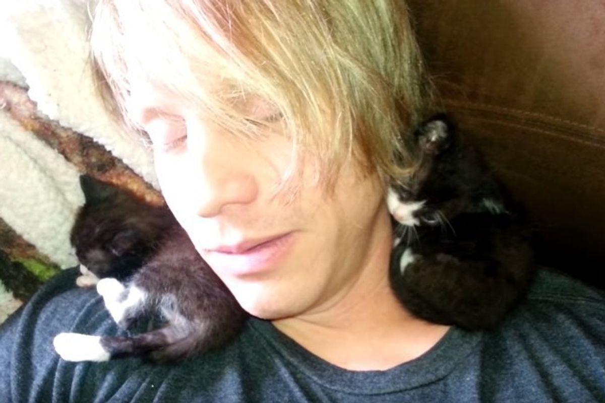 How Two Orphaned Kitties Choose Man Who Never Held a Kitten, It Changes His Life