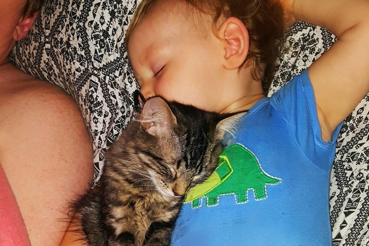 Kitten Found His Little Human, Won't Leave His Side in These Adorable Photos