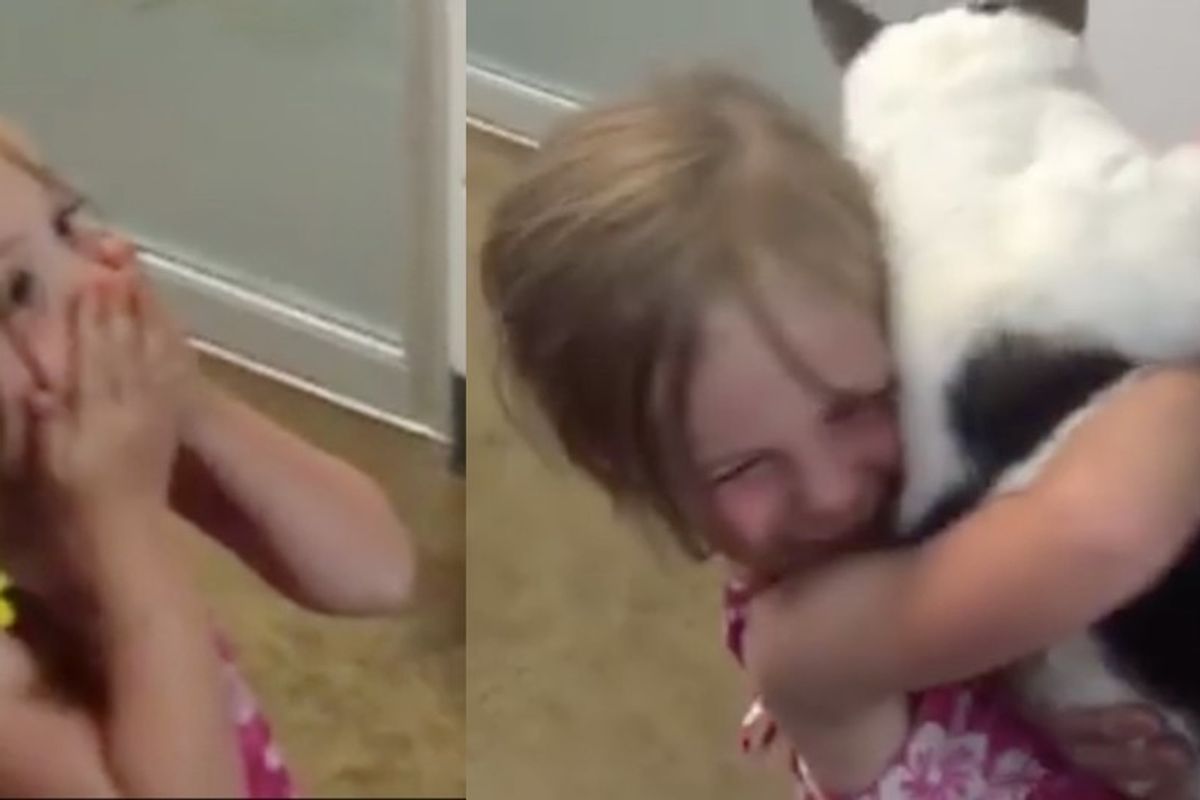 Girl Surprised to Find Her Beloved Cat in Shelter After He Went Missing for 3 Years