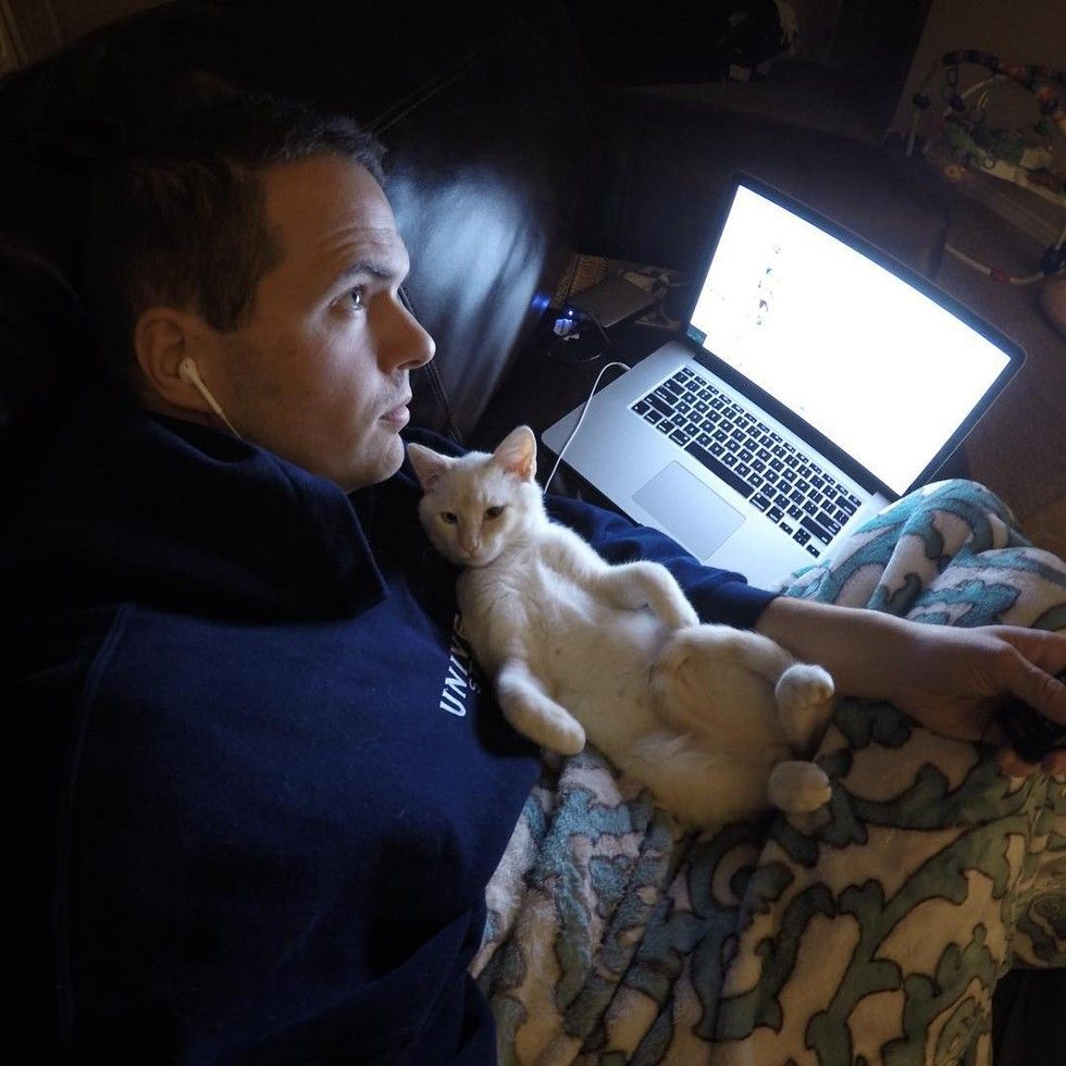 Kitten Saved from Freezing Snow Now Shares His Life with His Best Friend Love Meow