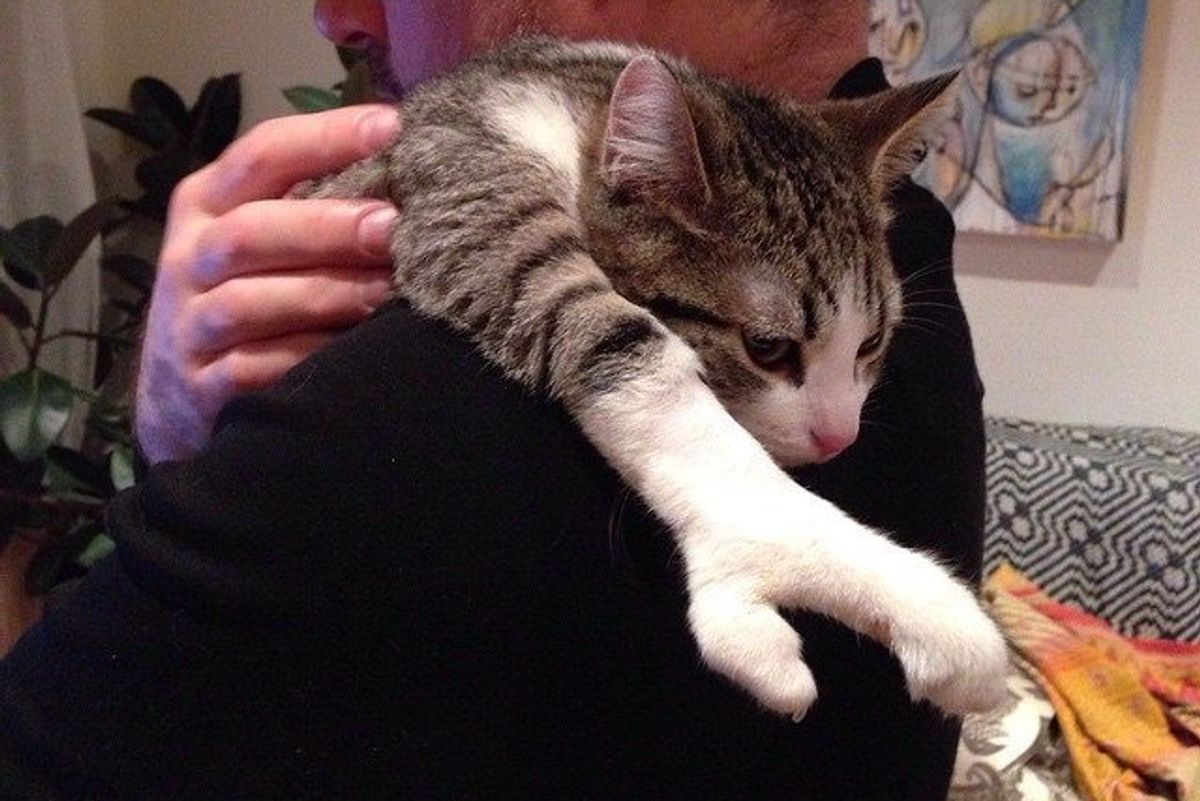 Kitty, Who was Born with a Special Paw, Fights His Way to a Loving Home