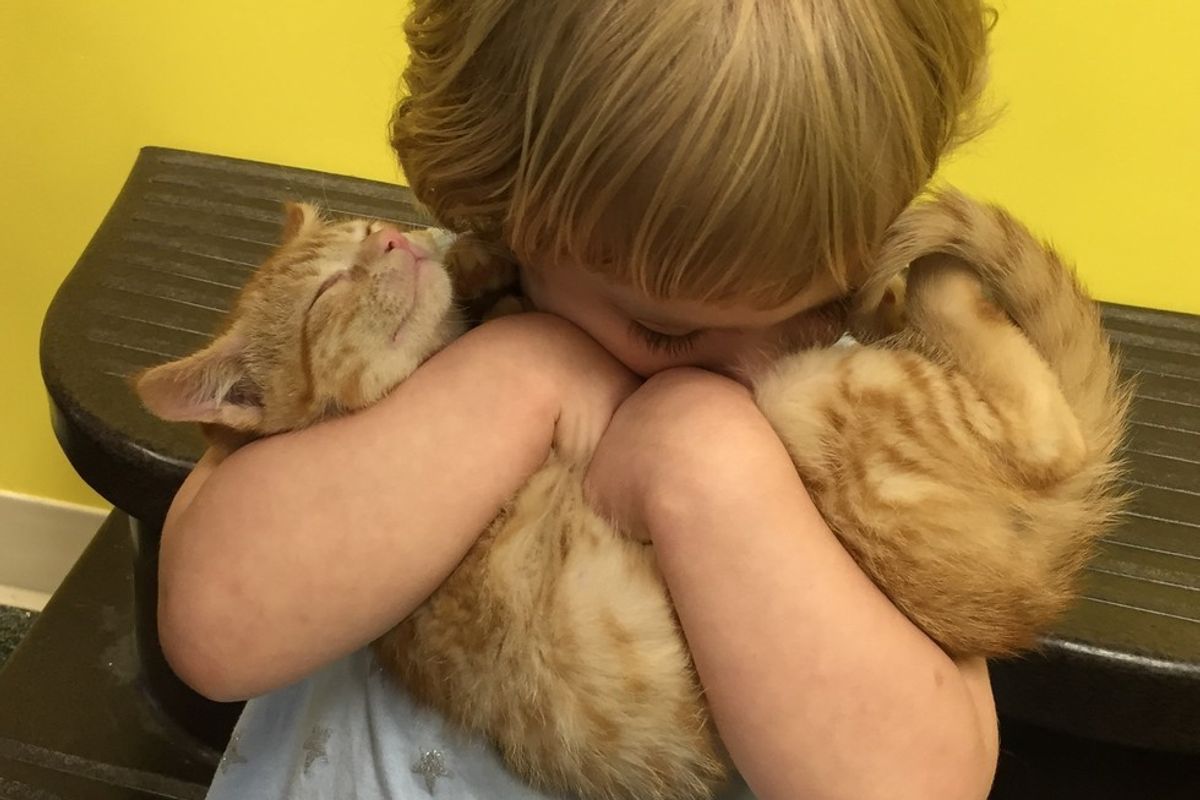 Shelter Kitten and 2 Year Old Girl Choose Each Other, Now Three Months Later...