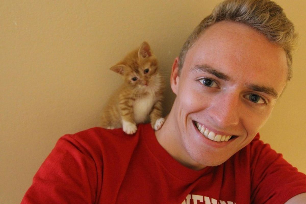 Man Saves Crying Kitten Found on His Doorstep, the Kitty Wouldn't Let Him Go
