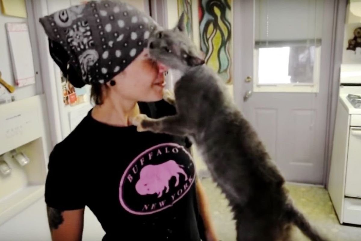 Cat Grew Up in Cage is Given Freedom and Love, She Can't Stop Thanking Her Rescuers