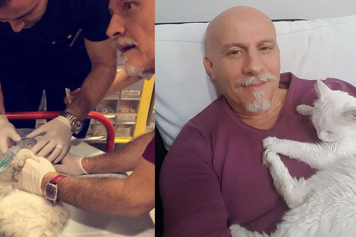 ER Doctor Brings Nearly Lifeless Stray Cat Back to Life