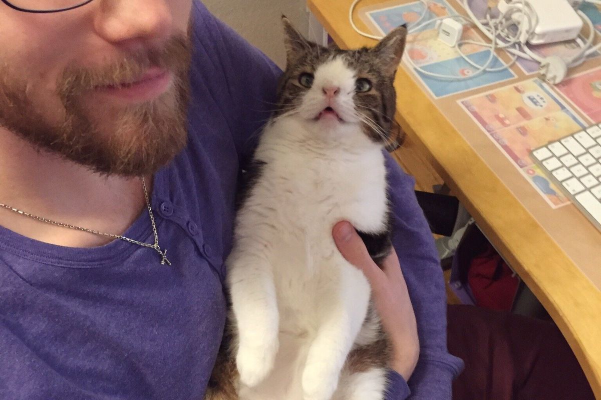 They Give Special Needs Cat a Home, He Hasn't Stopped Cuddling Since
